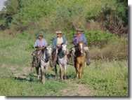 gauchos nella zona del chaco